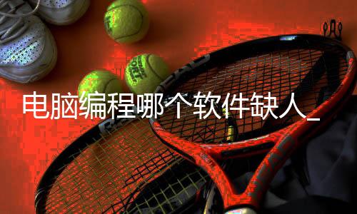 电脑编程哪个软件缺人_(在电脑编程用哪款软件比较好)