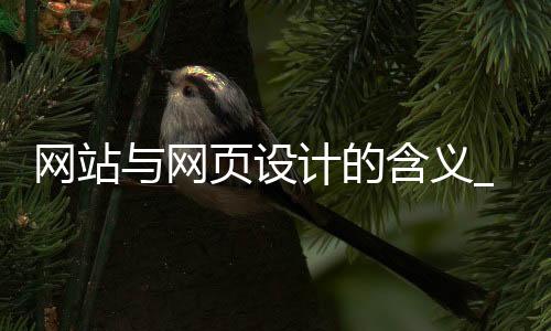 网站与网页设计的含义_(网站与网页设计的含义一样吗)