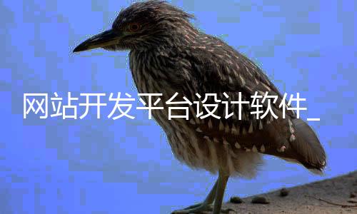 网站开发平台设计软件_(网站开发平台设计软件哪个好)