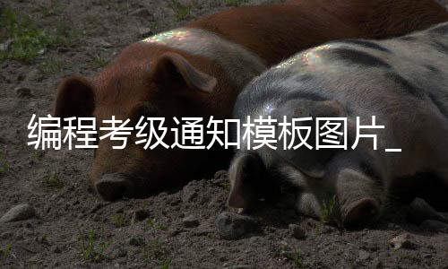 编程考级通知模板图片_(编程考级通知模板图片下载)