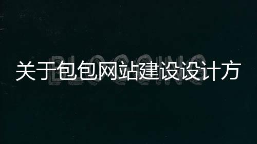 关于包包网站建设设计方案的信息
