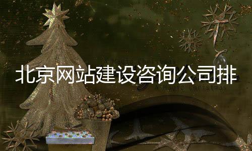 北京网站建设咨询公司排名(北京网站建设公司哪家好)