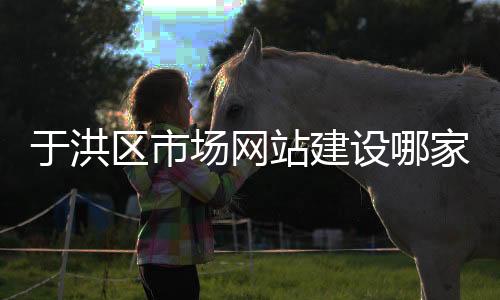 于洪区市场网站建设哪家好(于洪区市场监督管理局地址)