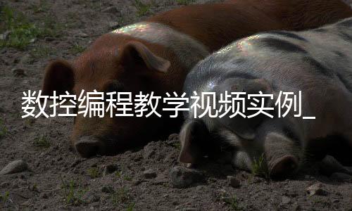数控编程教学视频实例_(数控编程教学视频实例分析)