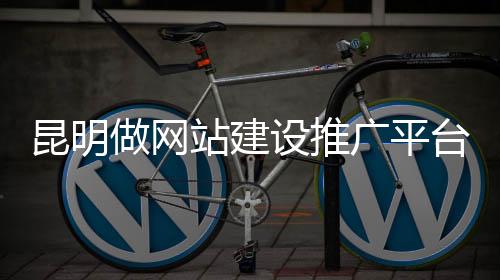 昆明做网站建设推广平台(昆明网站开发制作推广)