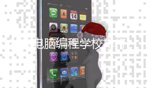 湖南电脑编程学校排行_(湖南电脑编程学校排行榜)