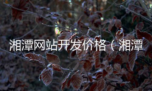湘潭网站开发价格(湘潭本地网站)